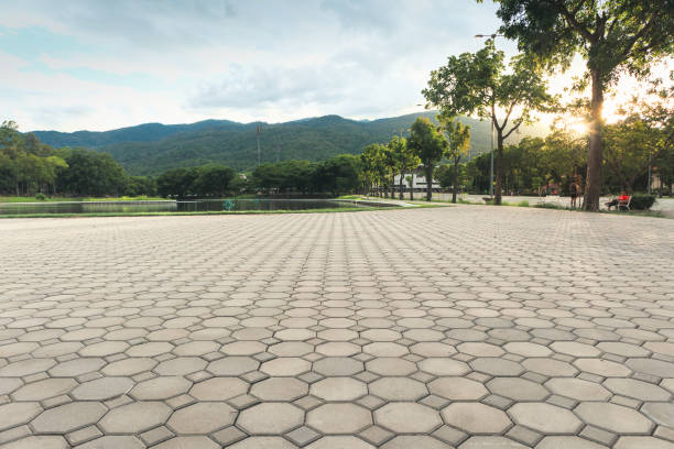 Best Interlocking Driveway Pavers  in Lakewood, IL
